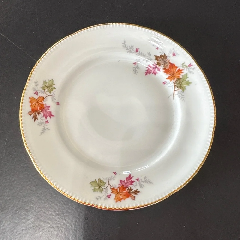 Winterling Germany Autumn Leaves Set of 4 Dessert Salad Plates Gold Trim Rim